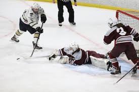 Image result for Shrewsbury Hockey Club