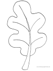 Leaves coloring page