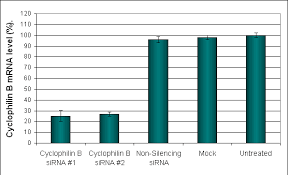 Image result for HTRPC