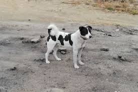 Image result for site:buyreklama.ru/*