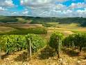TLC Cooking "Ultimate Guide to the Champagne Wine Region"
