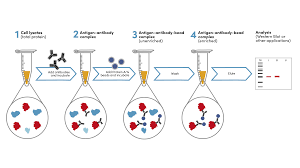 Image result for  g   c O ~