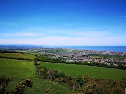 Image result for Prestatyn Cricket Club