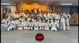 Image result for Chikara Dojo Of Kyokushin Karate