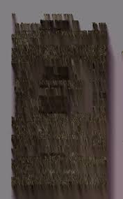 Attēlu rezultāti vaicājumam “Diderma ochraceum macro”