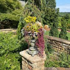 Image result for Arboretum Bowling Club