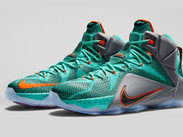 Image result for lebron james shoes