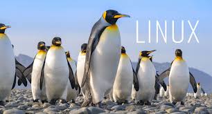 Image result for linux tux