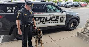 Image result for Hartford Sog