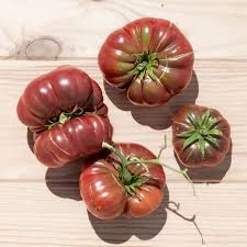 Afbeeldingsresultaat voor purple calabash tomato