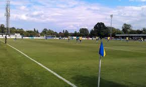 Image result for Staines Albion Fc