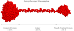 Glucoamylase WWW Page