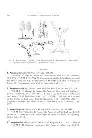 Attēlu rezultāti vaicājumam “Arcyria minuta stalked”