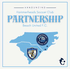 Image result for Holbeach United Youth Teams Football Club