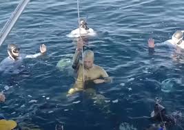 Image result for Exe To Sea Diving