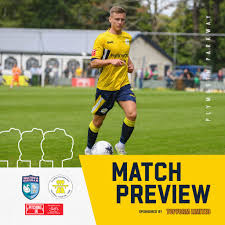 Image result for Walton & Hersham Football Club