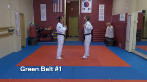 Image result for Tkd Self Defense