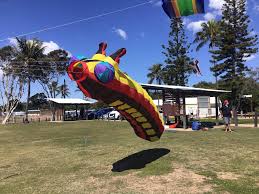 Image result for Baiter Power Kite