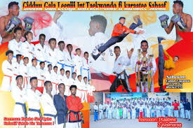 Image result for Broadwell Karate Club