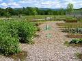 Organic horticulture - Wikipedia