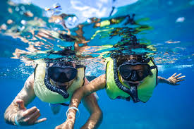 Image result for Belfairs Dolphins Snorkelling Club