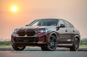 Image result for BMW X6