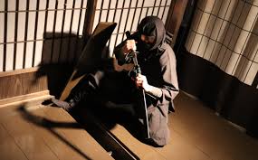 Image result for Hertfordshire Iga Ryu Ninjutsu