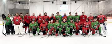 Image result for Coventry Dragons
