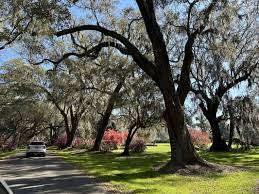 Image result for Ashton-Under-Lyne Sc