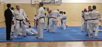 Image result for Sandokai Karate