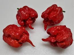 Afbeeldingsresultaat voor 7 pot hot pepper