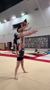 Image result for Elements Acro