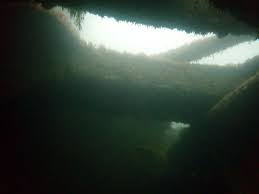 Image result for TAL Divers