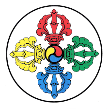 Image result for dordzse