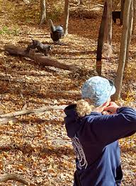 Image result for Rivernook Bowmen