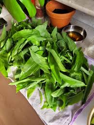 Attēlu rezultāti vaicājumam “Allium ursinum leaf”