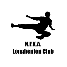Image result for Northern Freestyle Karate Association