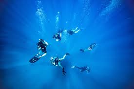 Image result for Reading University Sub Aqua Club