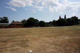 Image result for Hadleigh Cricket Club