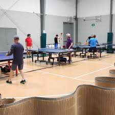 Image result for Scorpions Table Tennis Club