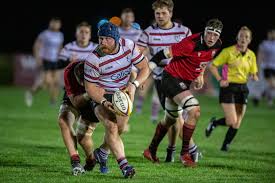 Image result for Stirling Wolves