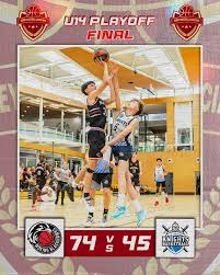 Image result for Surrey Spitfires Basketball Club