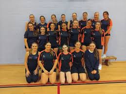 Image result for Hertford Hornets Netball Club
