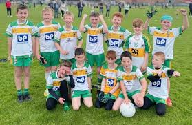 Image result for An Riocht Gaa Club