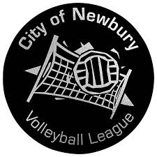 Image result for Newbury Volleyball Club