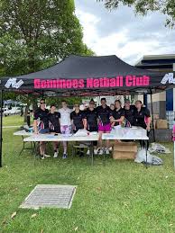 Image result for Lawn Netball Club