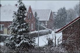 Winter in Ostfriesland - Bild \u0026amp; Foto von Dorota Müller-Abbas aus ...