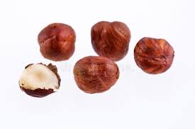 Attēlu rezultāti vaicājumam “Corylus avellana fruit”