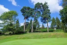 Image result for Dorking Golf Club
