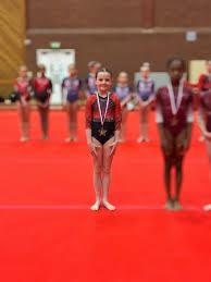 Image result for Tamworth Olympic Gymnastics Club